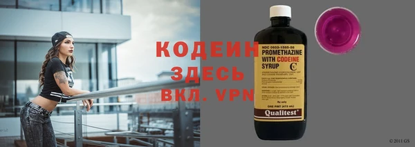 трава Слюдянка